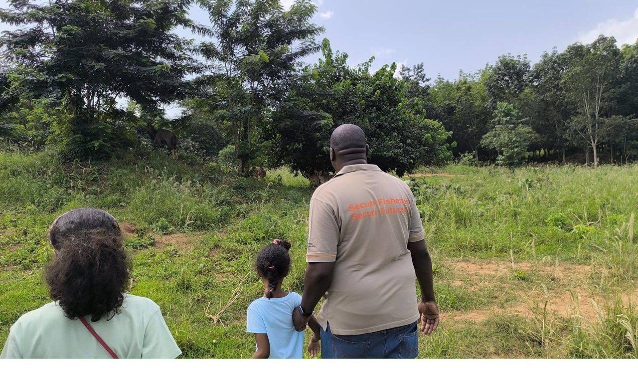 Walking with family in a forest, watching an antelope graze