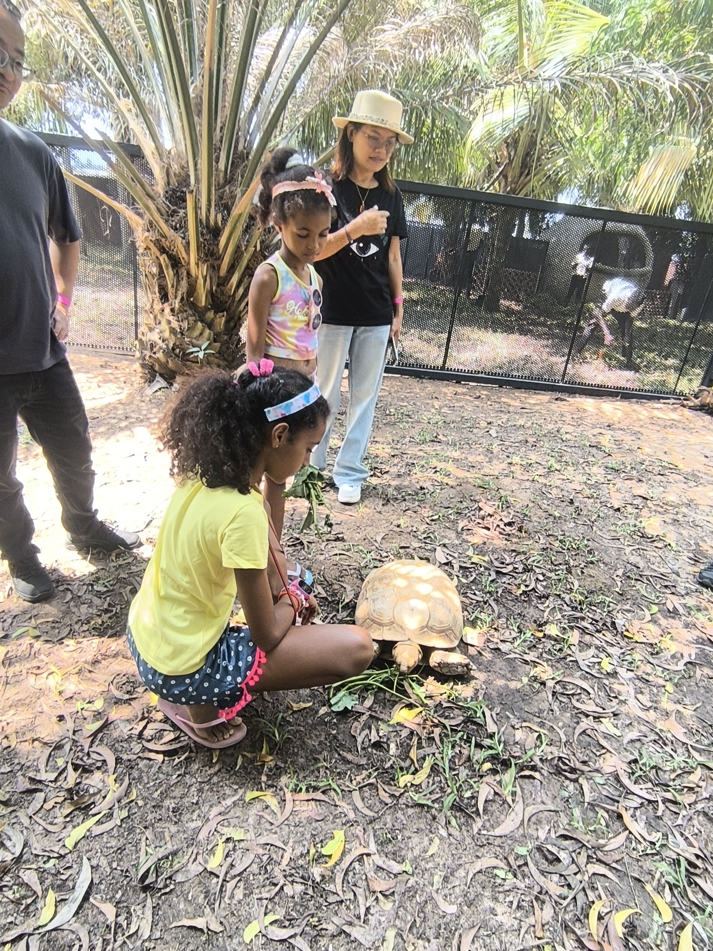 A day at the zoo with the children